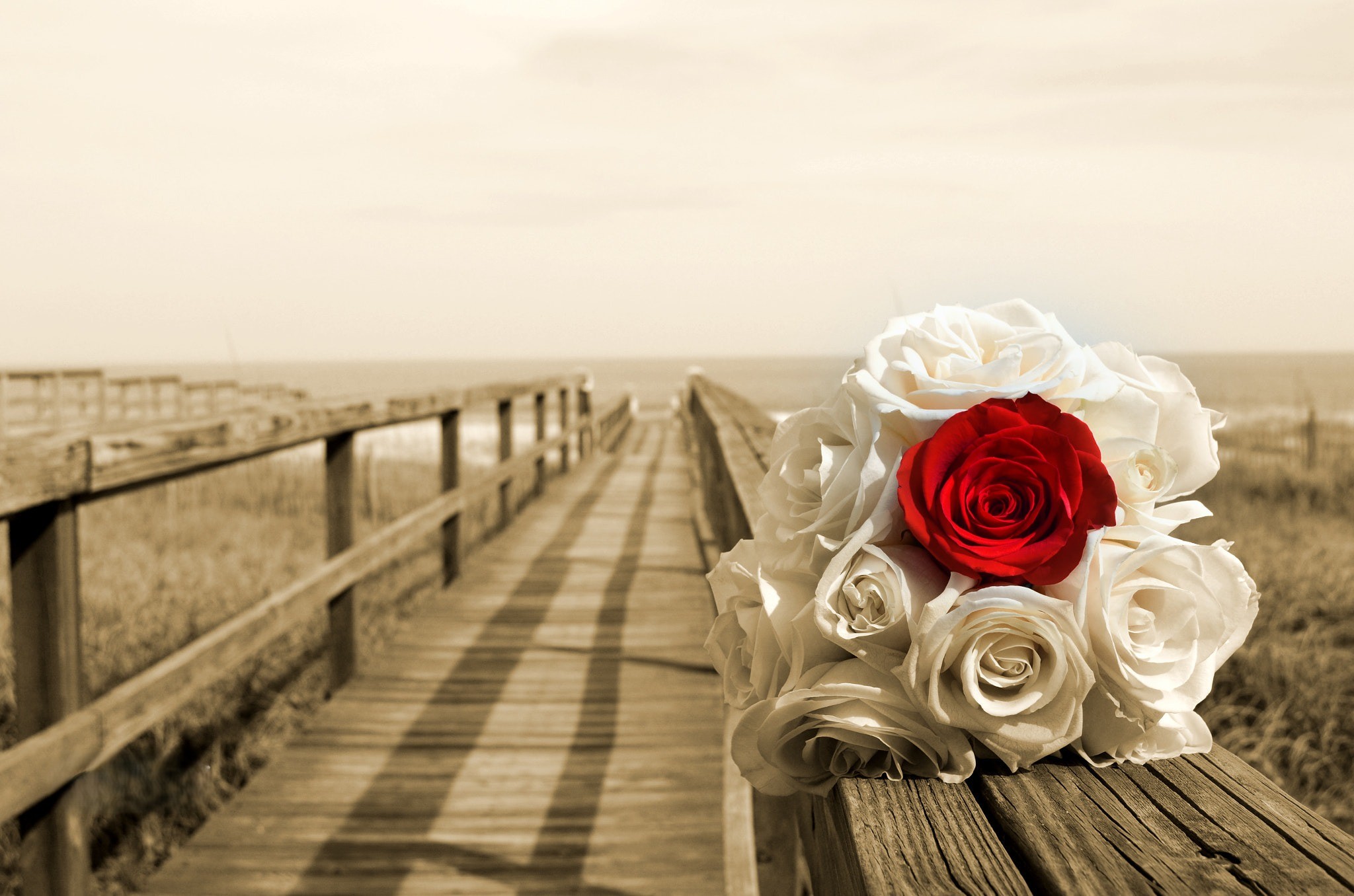 Private boat cruise at golden hour